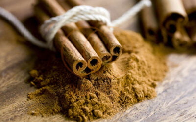 Discovering the Rich Aroma of Cassia Cinnamon Indonesia