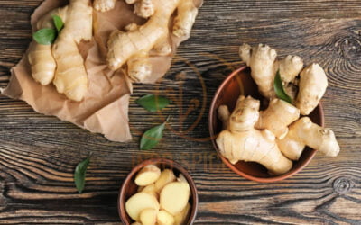 The Secrets of Ginger Indonesia Ancient Origins to Global Reach