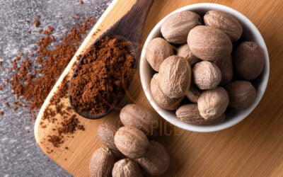 The Ultimate Guide to Indonesian Nutmeg: Flavor, Benefits, and Beyond