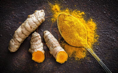 Turmeric Indonesia The Golden Spice with a Rich Origin and History