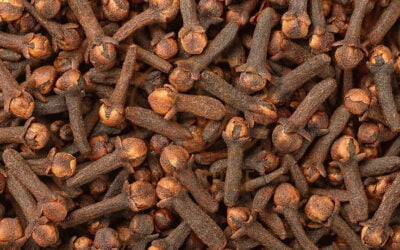 Explore the World of Cloves: A Guide to 5 Different Varieties