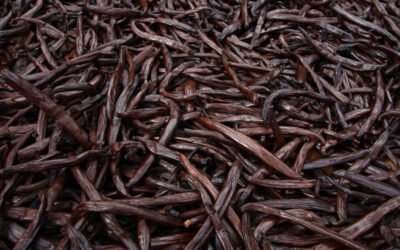 Exploring the Vanilla Bean Market: Projected to Surpass US$ 1.9 Billion by 2033