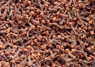 cloves indonesia