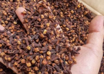 cloves indonesia 10