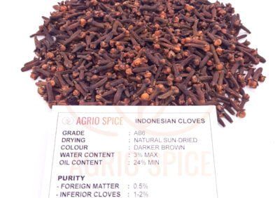 ab6 cloves indonesia