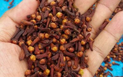 Discover the Surprising Health Benefits of Cloves