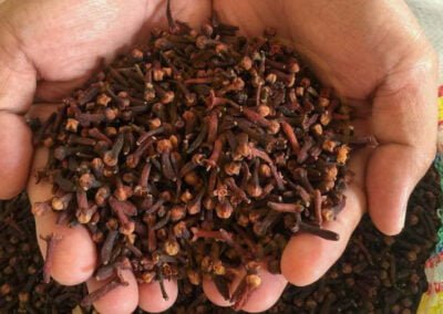 cloves exporter indonesia