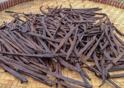 vanilla beans supplier indonesia