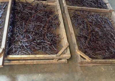 vanilla beans indonesia 20