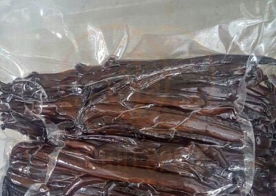 vanilla beans indonesia 21