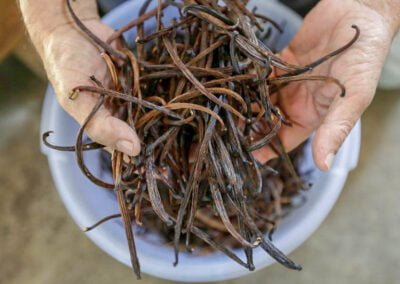 vanilla beans price