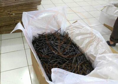 vanilla beans supplier indonesia 12