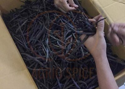 vanilla beans supplier indonesia 16