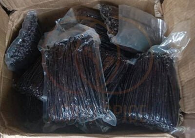 vanilla beans supplier indonesia 17